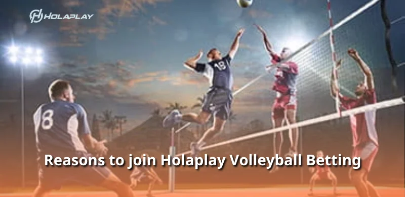 Reasons to join Holaplay Volleyball Betting