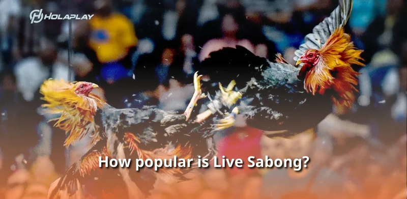 How popular is Live Sabong?