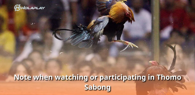 Note when watching or participating in Thomo Sabong